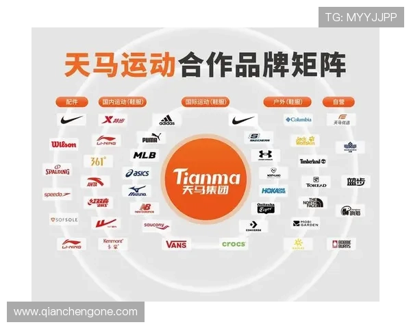 天马体育品牌介绍与发展历程全面解析助你深入了解行业领军企业