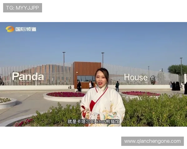 熊猫体育app支持的体育项目和赛事类型全面解析满足不同用户需求