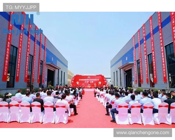 金年会官网下载官方客户端，享受完整功能体验与优质服务