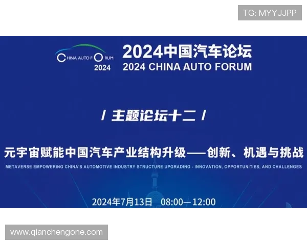 中华体育总会换届过程中遇到的主要挑战与应对策略全面解读